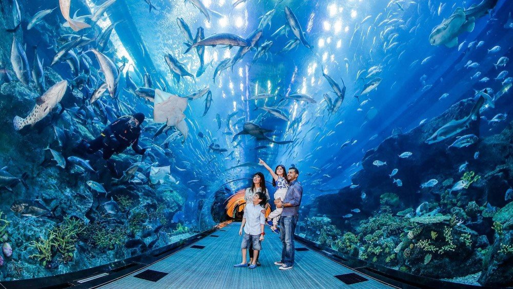 DUBAI AQUARIUM & UNDERWATER ZOO