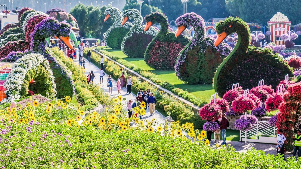 MIRACLE GARDEN
