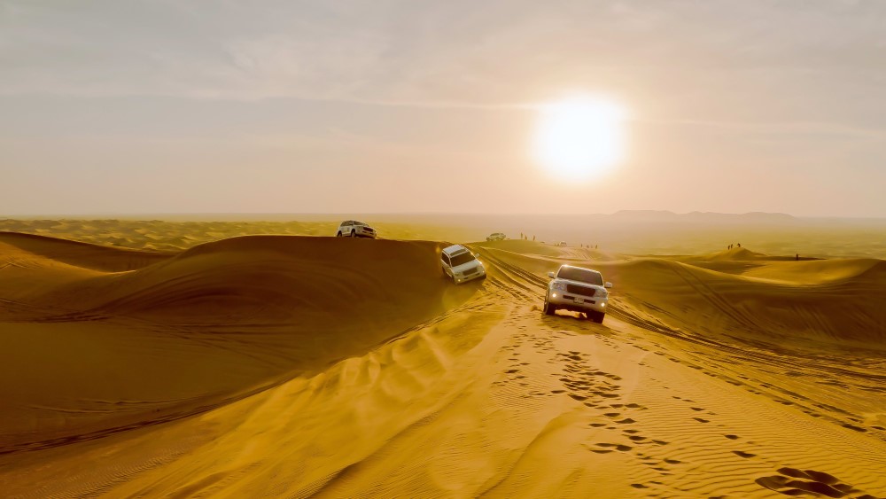 MORNING DESERT SAFARI homepage best popular tours