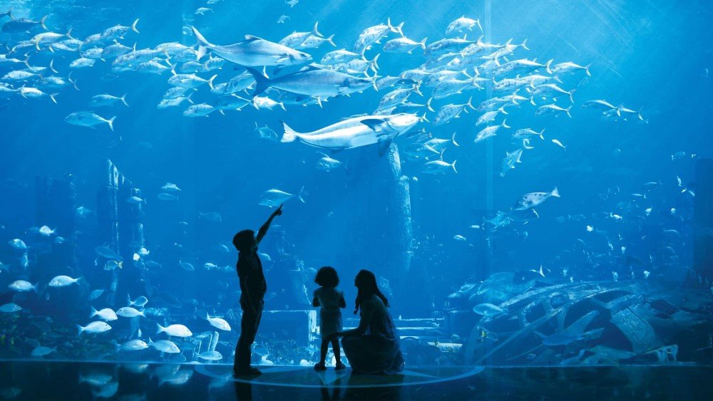 THE LOST CHAMBERS AQUARIUM