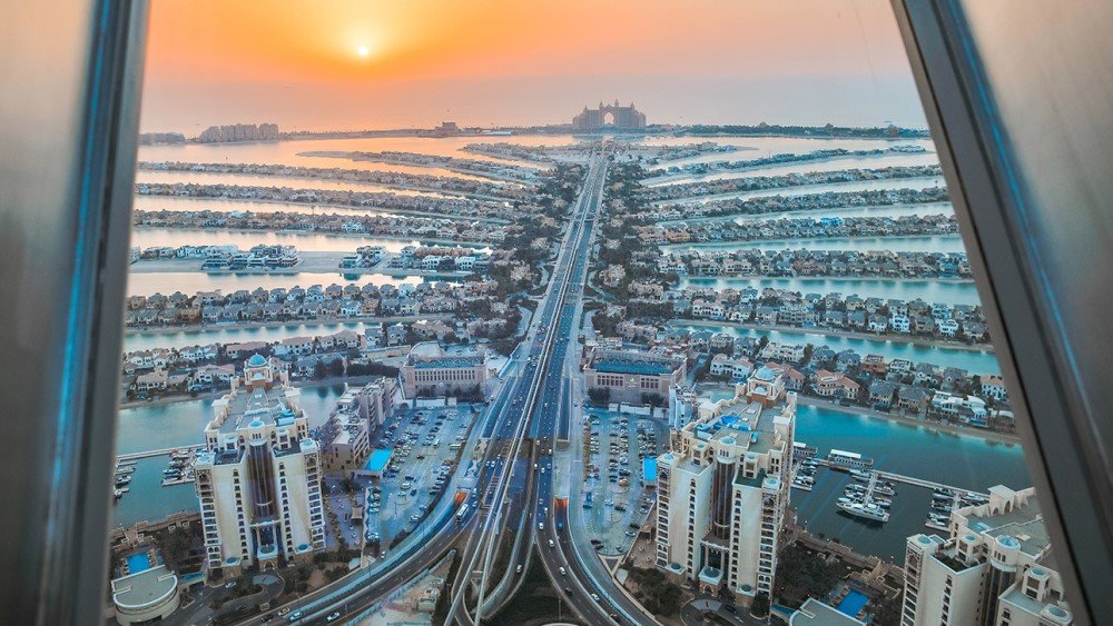 THE VIEW AT THE PALM