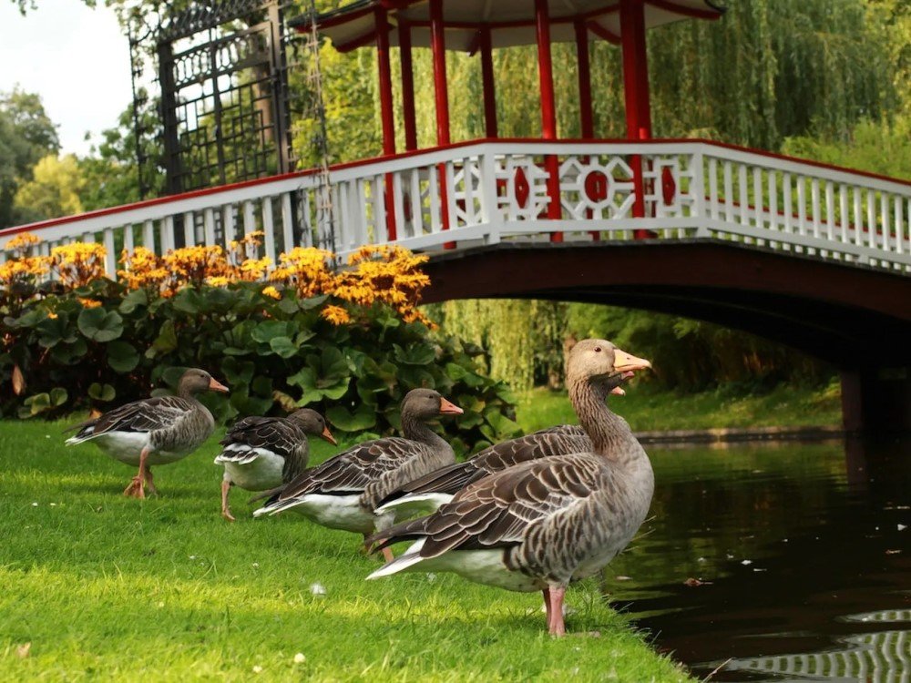 sharjah’s beautiful lagoon and green parks