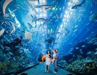 dubai aquarium