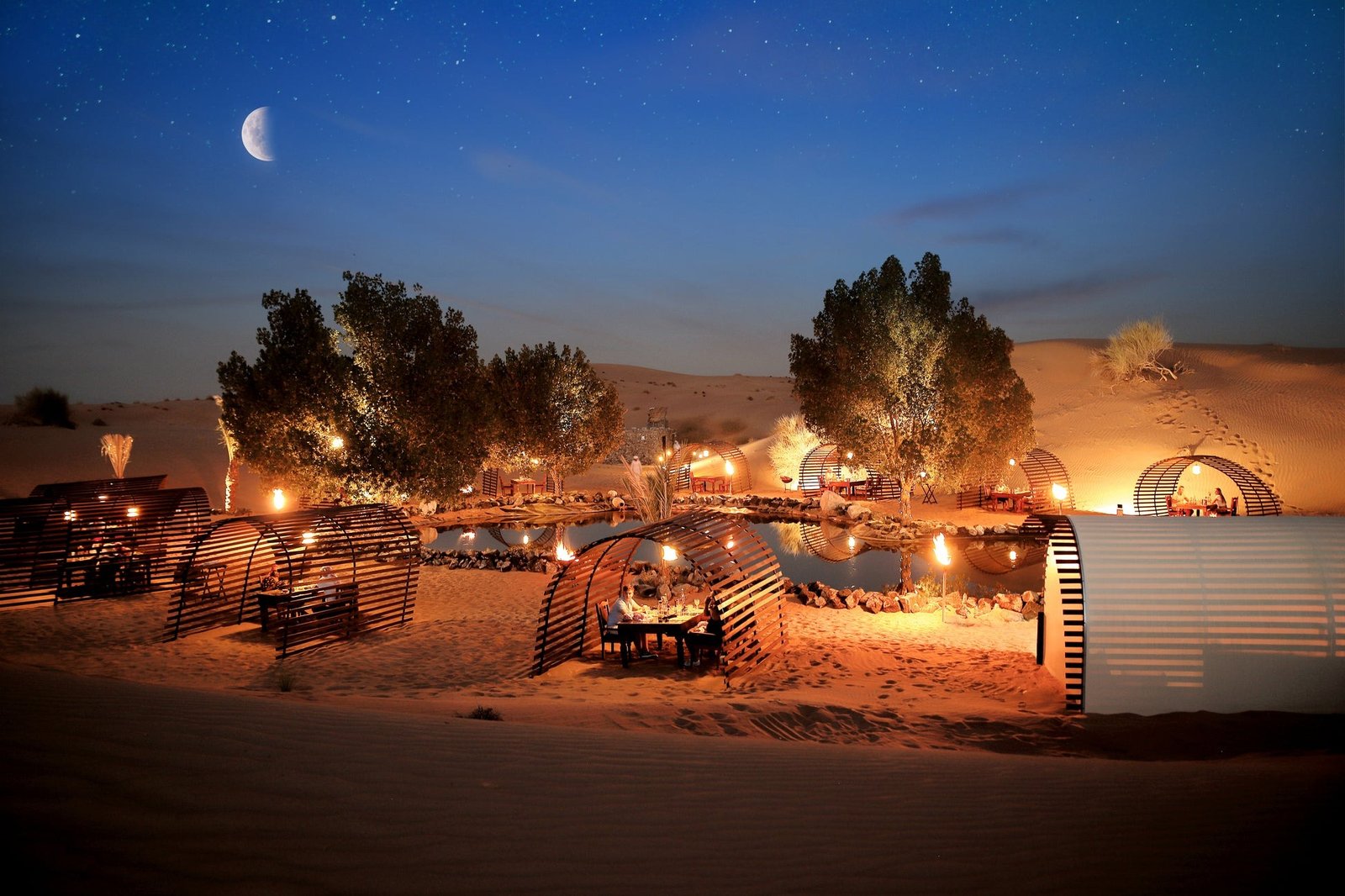 experience dubai's evening desert safari